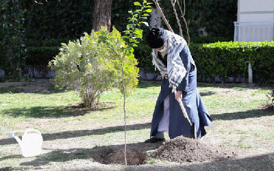 کاشت درخت یک حرکت کاملا دینی و انقلابی است/ رهبر معظم انقلاب