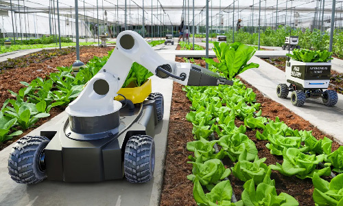 چگونه یک صنعت غذایی سبز می شود؟"