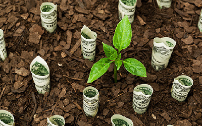 سرمایه گذاری سبز چیست ؟