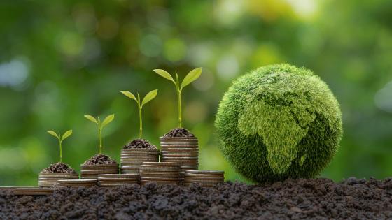 دلایل اهمیت سرمایه گذاری سبز / ویدئو