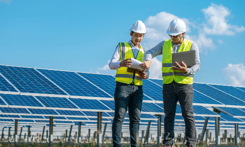 راهنمای ورود به شغل سبز + جدول مقایسه ای