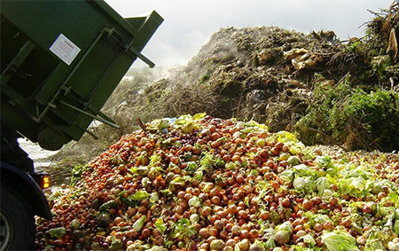 دورریز مواد غذایی در اروپا بیشتر از واردات است